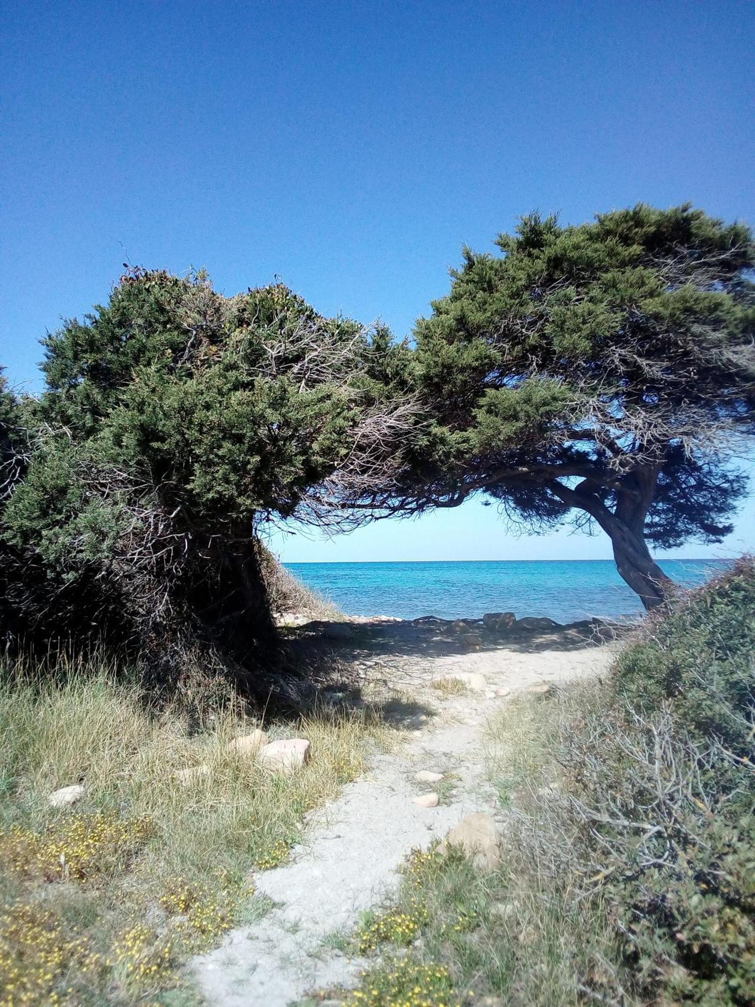 Corona'S Apartment- Fronte Spiaggia La Caletta Zewnętrze zdjęcie